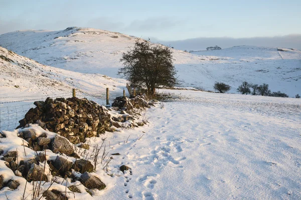 Vacker snö täckta sunrise landsbygdens vinterlandskap — Stockfoto