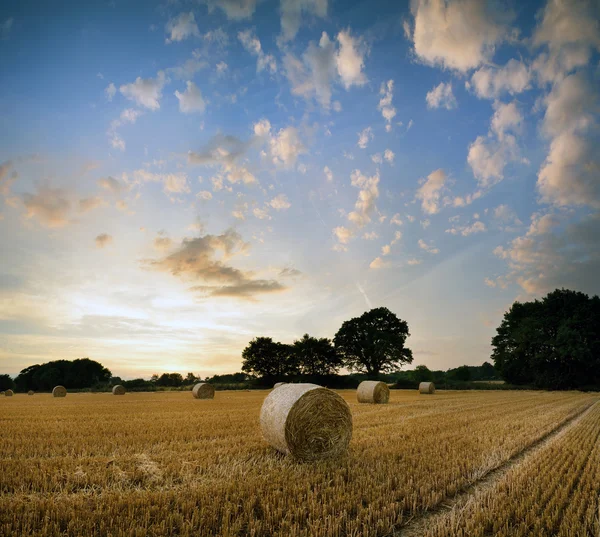 Stunning Summer sunset landscape over feild of hay bales — Stock Photo, Image