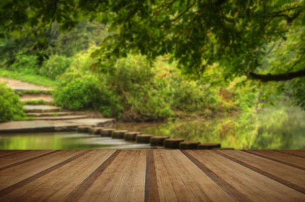 Hermosa escena del bosque de arroyo encantado fluyendo a través de exuberante — Foto de Stock