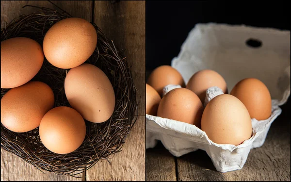 Compilation of fresh eggs images in moody natural lighting setti — Stock Photo, Image