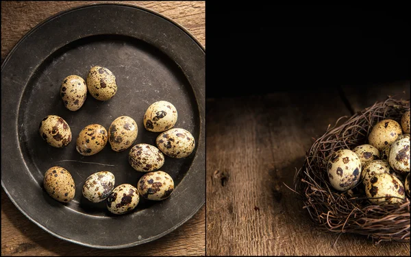 Compilación de la iluminación natural de mal humor puesta de quaills huevos wi — Foto de Stock