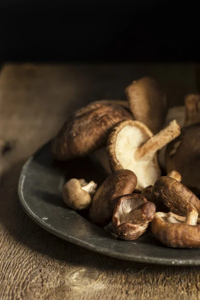 Fresh shiitake mushrooms in moody natural light setting with vin — Stock Photo, Image