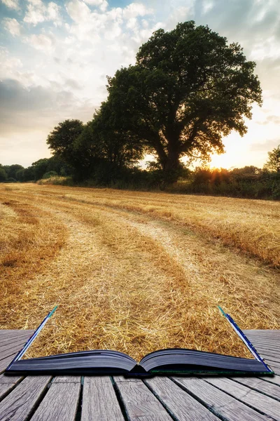 Paisaje rural imagen del atardecer de verano sobre campo de fardos de heno c — Foto de Stock