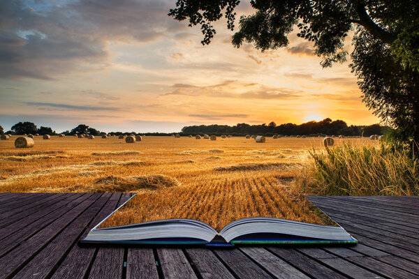 Rural landscape image of Summer sunset over field of hay bales c