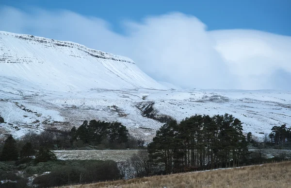 Hermoso amanecer Paisaje de invierno de montañas detrás del bosque —  Fotos de Stock