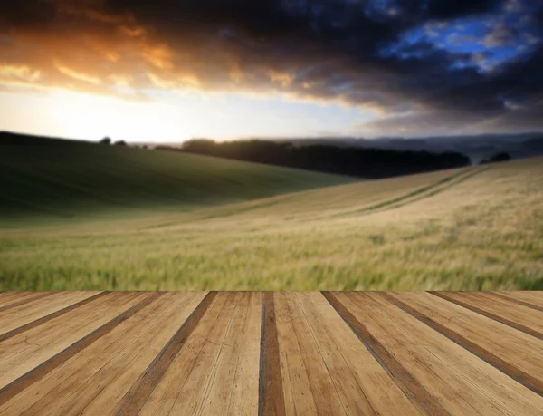 Zomer landschap foto van tarweveld bij zonsondergang met prachtige l — Stockfoto