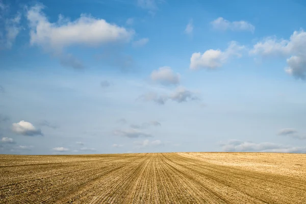 Beautiful Spring evening sunset light over fields landscape on f — Stock Photo, Image