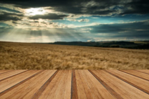 Stunning countryside landscape wheat field in Summer sunset with — Stock Photo, Image