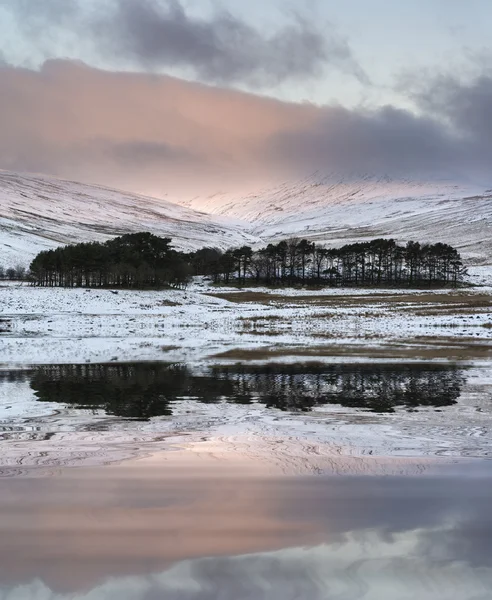 Paisaje campestre de invierno vibrante reflejado en el lago tranquilo wate —  Fotos de Stock