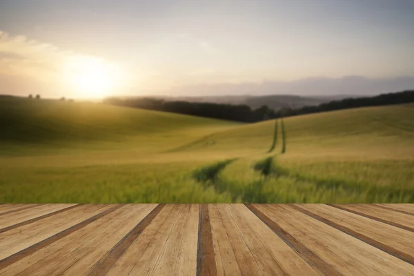 Estate paesaggio immagine di campo di grano al tramonto con bella l — Foto Stock