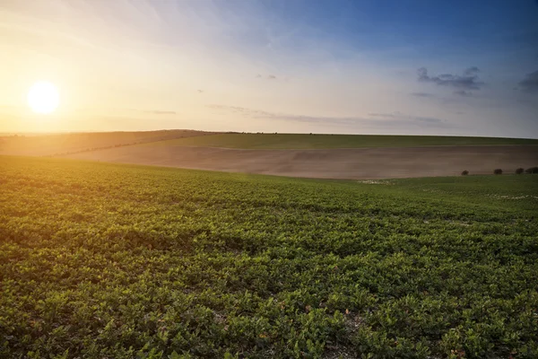 Bella primavera sera tramonto luce sui campi paesaggio su f — Foto Stock