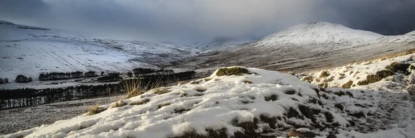 Impresionante Invierno paisaje panorámico nevado campo ingenio — Foto de Stock