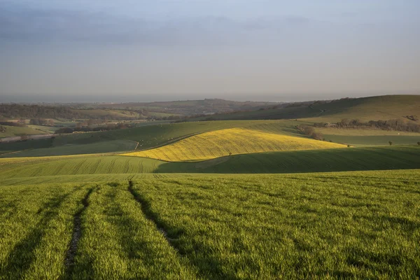 Spring morning over vibrant agricultural landscape in Englsh cou — Stock Photo, Image