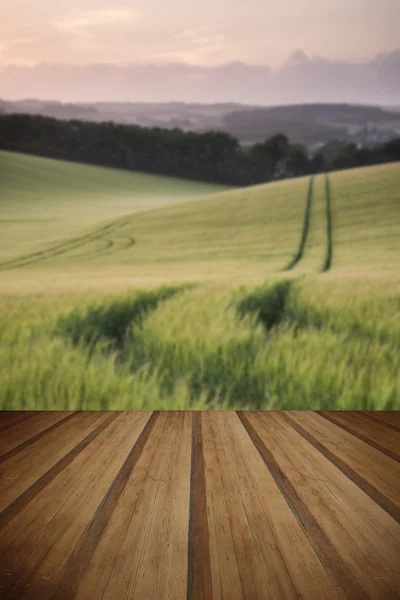 Summer landscape image of wheat field at sunset with beautiful l — Stock Photo, Image