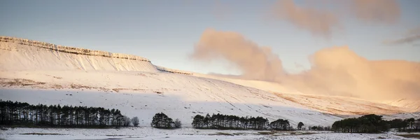 Kış panoramik manzara kar çarpıcı kırsal zekâ kaplı — Stok fotoğraf