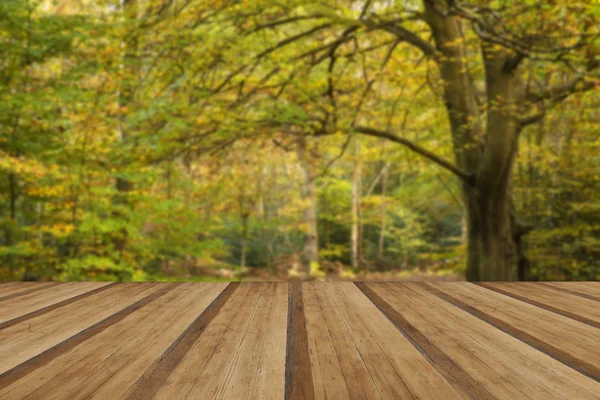 Hermoso paisaje vívido dorado de otoño bosque de otoño con madera — Foto de Stock