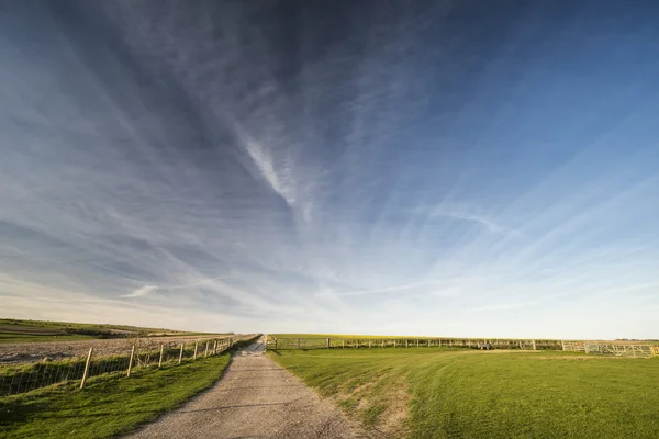 Velká modrá obloha jarní krajina v pozdním eveing světle — Stock fotografie