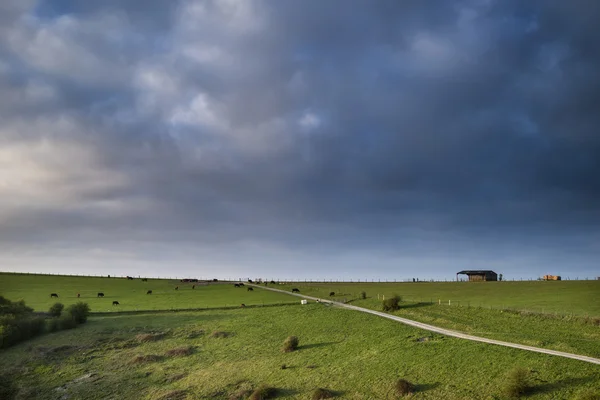 Manhã de primavera sobre a paisagem agrícola vibrante em Englsh cou — Fotografia de Stock