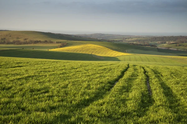 Spring morning over vibrant agricultural landscape in Englsh cou — Stock Photo, Image