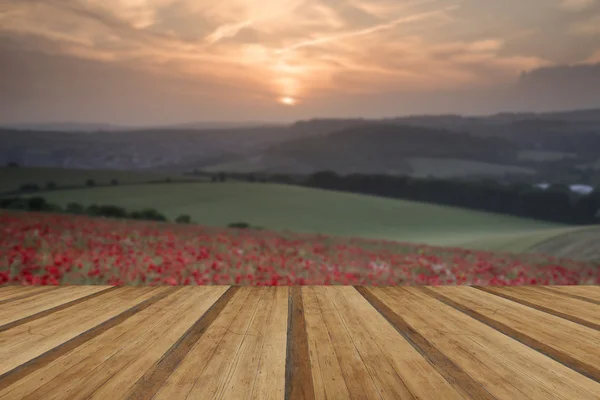 Splendido paesaggio campo di papavero sotto il cielo tramonto estivo con legno — Foto Stock