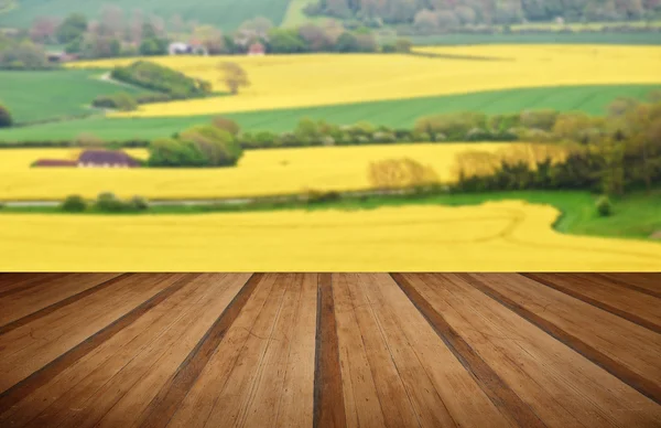 Schöne Landschaft aus Rapsfeldern, die sich in die Ferne erstrecken — Stockfoto