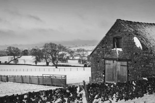 Vacker snö täckta sunrise landsbygdens vinterlandskap i monochr — Stockfoto