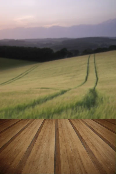 Paisaje de verano imagen de campo de trigo al atardecer con l hermosa — Foto de Stock