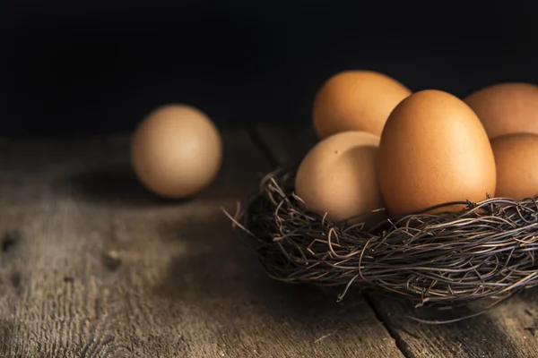 Fresh eggs in birds nest in vintage retro style moody natural li — Stock Photo, Image