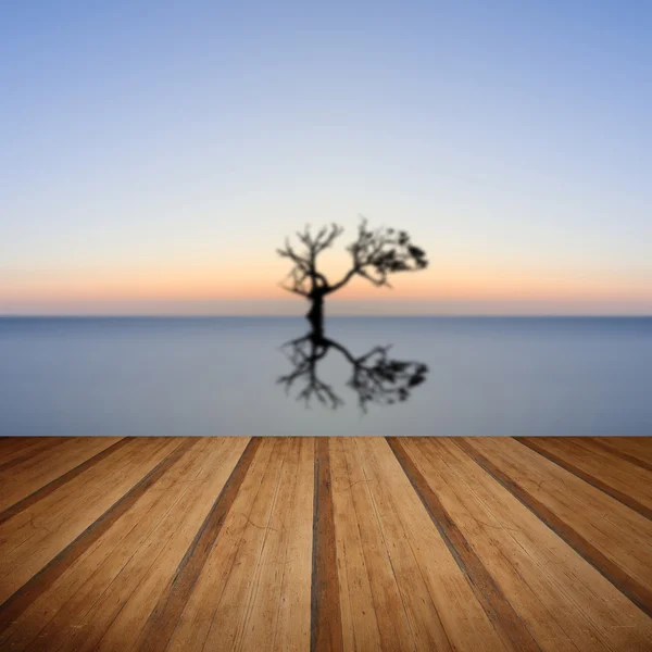 Imagen conceptual de un solo árbol en aguas tranquilas con el ingenio del sol —  Fotos de Stock