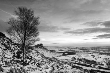 Kış panoramik manzara kar çarpıcı kırsal kesimde kaplı 