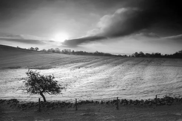 Hermoso amanecer cubierto de nieve Paisaje rural de invierno en monochr — Foto de Stock