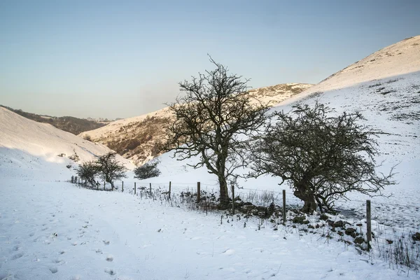 Beautiful snow covered sunrise Winter rural landscape — Stock Photo, Image