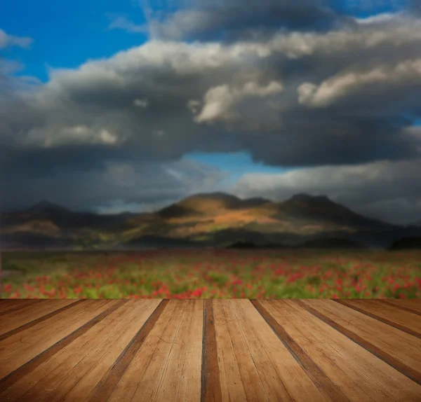 Paesaggio di campi di papavero di fronte alla catena montuosa con dramat — Foto Stock
