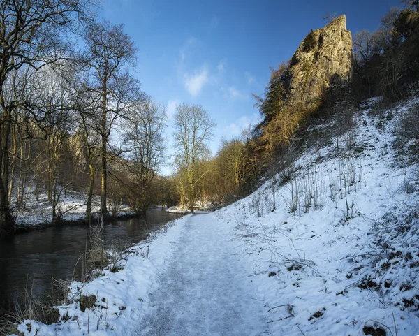 Floden flyter genom snötäckta vinterlandskap i skogen va — Stockfoto