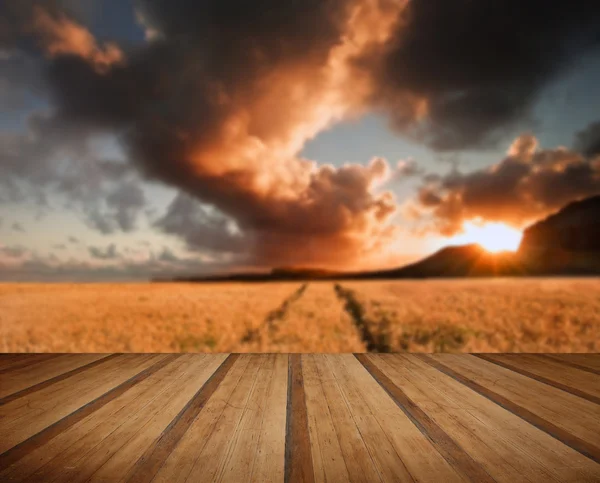 Campo de trigo dorado bajo dramático cielo tormentoso paisaje con madera — Foto de Stock