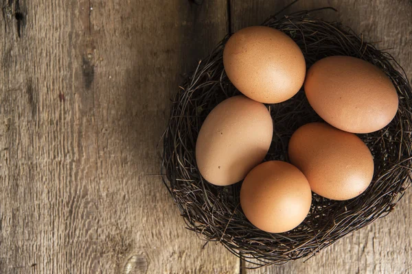 Fresh eggs in birds nest in vintage retro style moody natural li — Stock Photo, Image