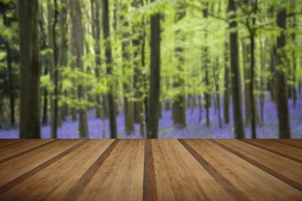 Alfombra de Bluebell vibrante Paisaje de bosque de primavera con plan de madera —  Fotos de Stock