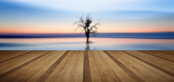 Concept fine art image of tree reflected in still waters with wo — Stock Photo, Image