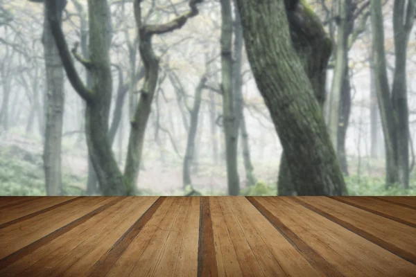 Paysage de forêt avec brouillard dense en automne Automne avec pl en bois — Photo