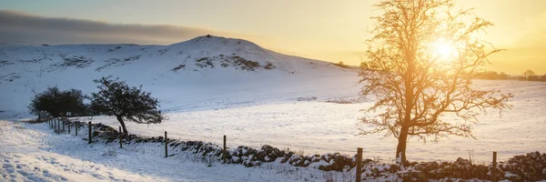 Impresionante Invierno paisaje panorámico nevado campo ingenio —  Fotos de Stock