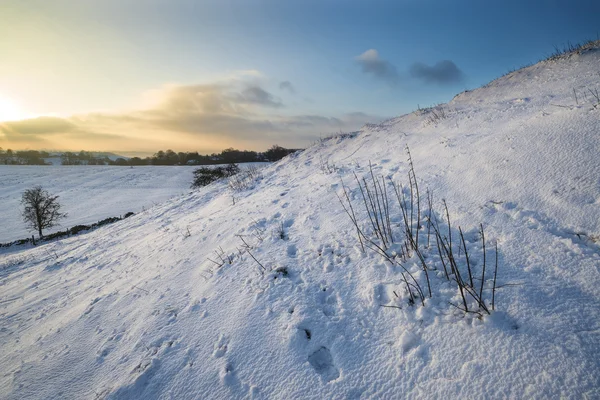 日の出冬の農村風景が美しい雪に覆われています。 — ストック写真