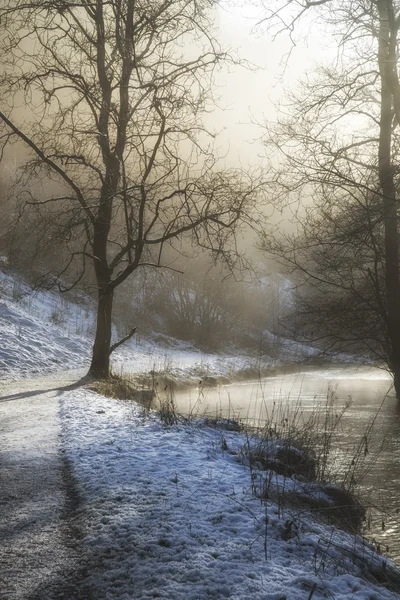 Krásné zimní zasněžené krajiny krajinu říční flo — Stock fotografie