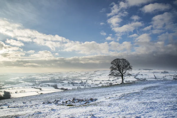 美しい冬の風景雪覆われた田園地帯内のフィールド — ストック写真
