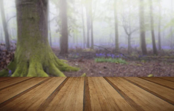 Lebendige Bluebell Teppich Frühling Wald neblige Landschaft mit Wald — Stockfoto