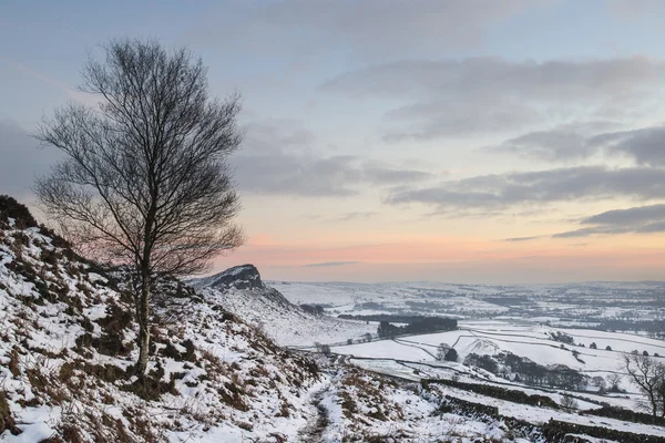 C kar üzerinden canlı batımında güzel kış manzara kaplı — Stok fotoğraf