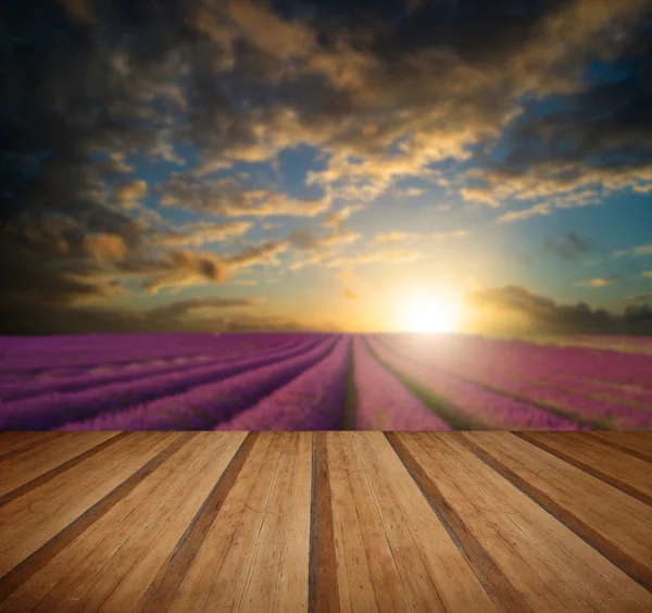 Vibrante puesta de sol de verano sobre el paisaje de campo de lavanda con madera — Foto de Stock
