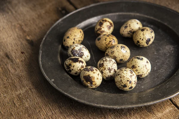Iluminación natural Moody vintage estilo retro imagen de quaills huevos — Foto de Stock