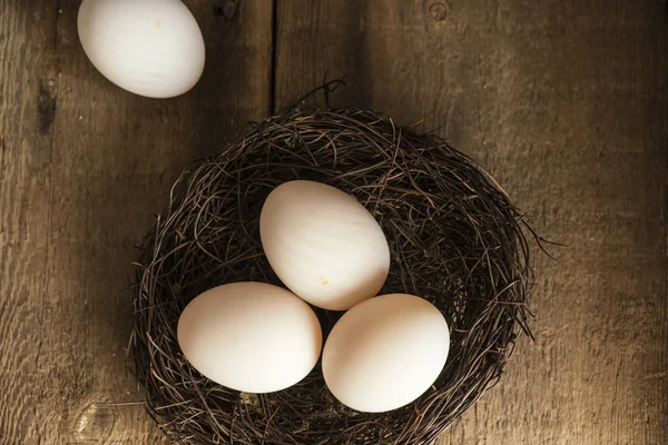 Fresh duck eggs in moody vintage retro style natural lighting se — Stock Photo, Image