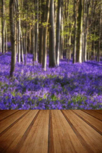 Impresionantes flores de arándano en el paisaje del bosque de primavera con madera —  Fotos de Stock