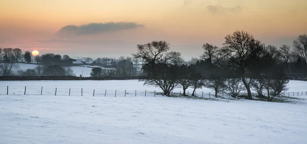 Mooie winterlandschap over sneeuw bedekt Winter landschap — Stockfoto